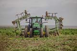 21 Fallow Master Orthman